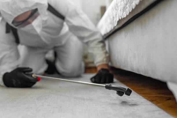 Professional Cockroach Control technician working in Olga, FL