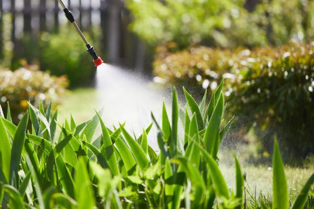 24/7 Emergency Cockroach Control experts in Olga, FL