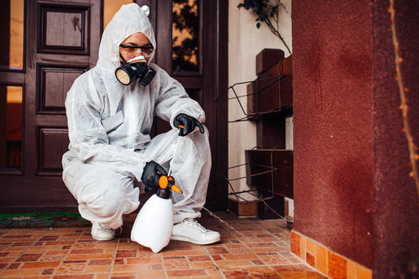 Reliable Cockroach Control contractor in Olga, FL by Nex Pest Control