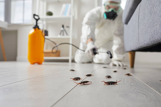 Affordable Cockroach Control solutions in Olga, FL
